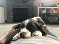 07027E48-3C9B-43D0-B394-8C0C09E2BA94.jpeg