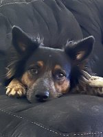 E10776B4-475E-4E17-A3D6-870D50F8BA65.jpeg