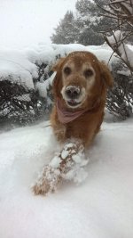 FB_IMG_1672107427418.jpg FB_IMG_1672107427418.jpg