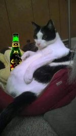 FB_IMG_1672107355293.jpg FB_IMG_1672107355293.jpg