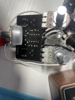 IMG_7919.jpeg