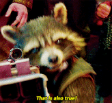 giphy (15).gif