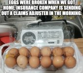 Eggs.jpeg