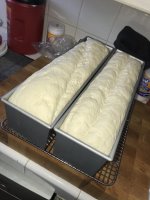 bread photo_2023-02-26_09-20-33.jpg