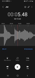 Screenshot_20230322_201342_Voice Recorder.jpg