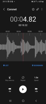 Screenshot_20230322_201330_Voice Recorder.jpg