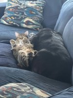 IMG_7507.jpeg