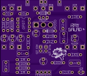 RAT CIRCUIT 3D VIEW.png