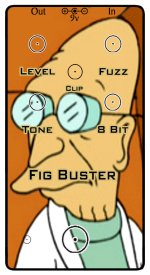 Fig Buster Graphic.jpg