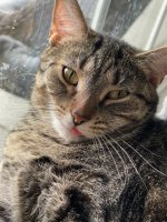 IMG_7609.jpeg