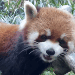 1682572697027.gif