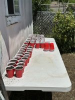 seedlings.jpeg