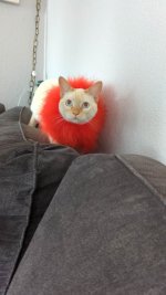 received_591720759574986.jpeg