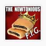 IMG_9268.jpeg