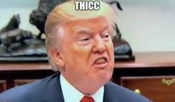 1683127562608.jpeg