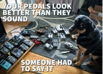 sam the pedal dog.jpg