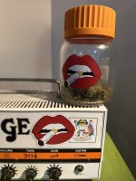 IMG_0215.jpeg