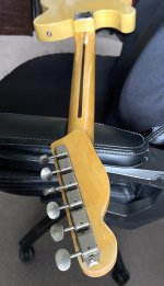 IMG_4882.JPG