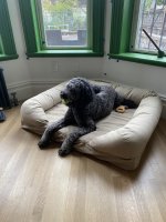 IMG_2197.jpeg