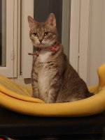 DSC_2107.JPG