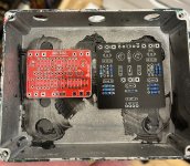 IMG_1511.jpeg