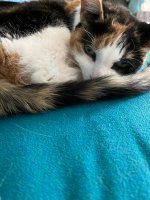 IMG_6514.jpeg