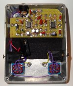 Guess This Pedal 2.jpg