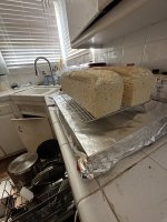 IMG_0494.jpeg