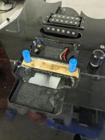 PXL_20230702_232508595.jpg