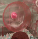 1688432899089.gif