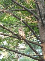 IMG_20230706_183825736.jpg