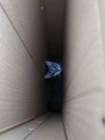 DSC_2539.JPG
