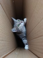 DSC_2541.JPG