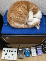 IMG_1588.jpeg