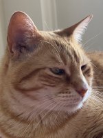 IMG_1743.jpeg