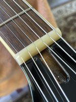 IMG_5493.JPG