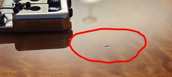 Bass side dings 3.jpg