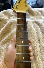 IMG_5545.JPG