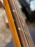 IMG_6197.jpeg