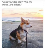 1691689077580.png