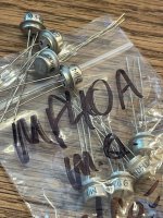 IMG_8384.jpeg