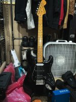 IMG_7243.jpeg