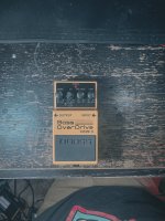 IMG_4355.jpeg