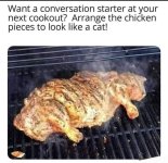 Cat BBQ.jpg