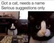 1694134727165.jpeg