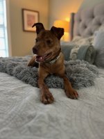 IMG_5281.jpeg