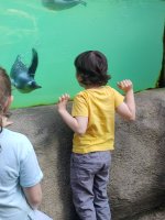 IMG_20230909_121110~2.jpg