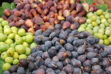 Figs-1024x687.jpg