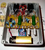 Da Buzz Custom Fuzz Pedal 22.jpg