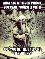 anger is a prison yoda.jpg